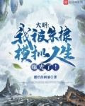 大明：我被朱棣模拟人生曝光了！